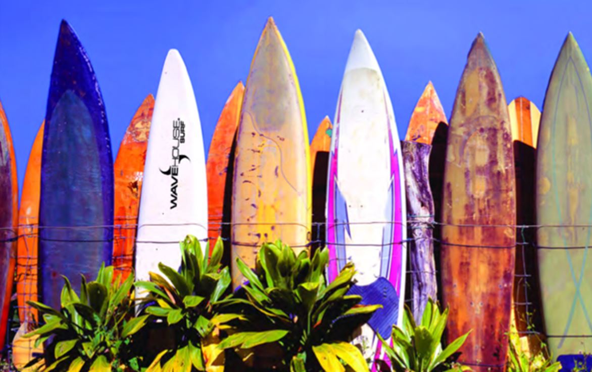 wave-house-surfboards